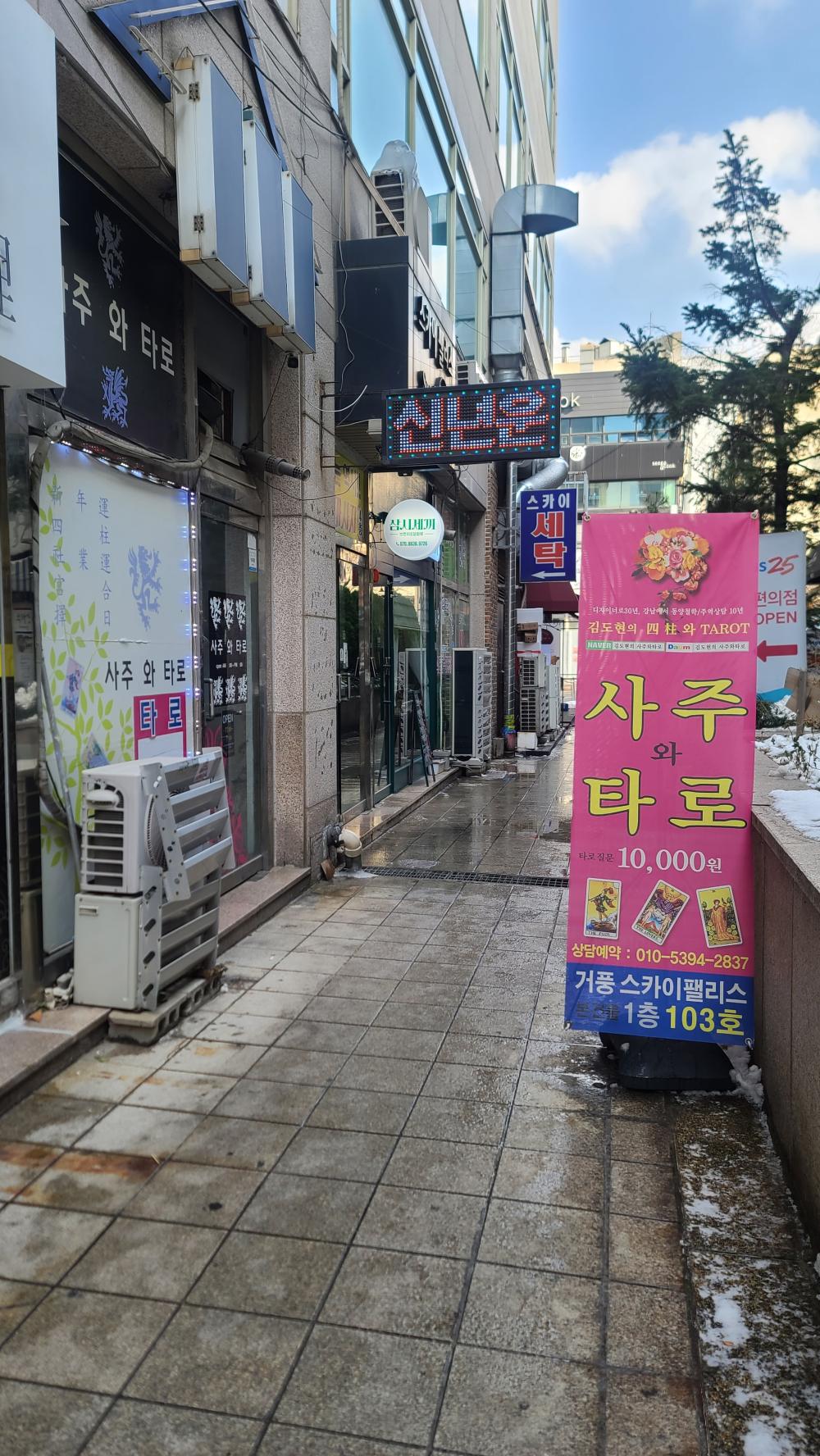 김도현사주타로 이미지