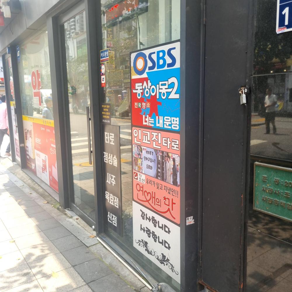 팩트 사주&타로