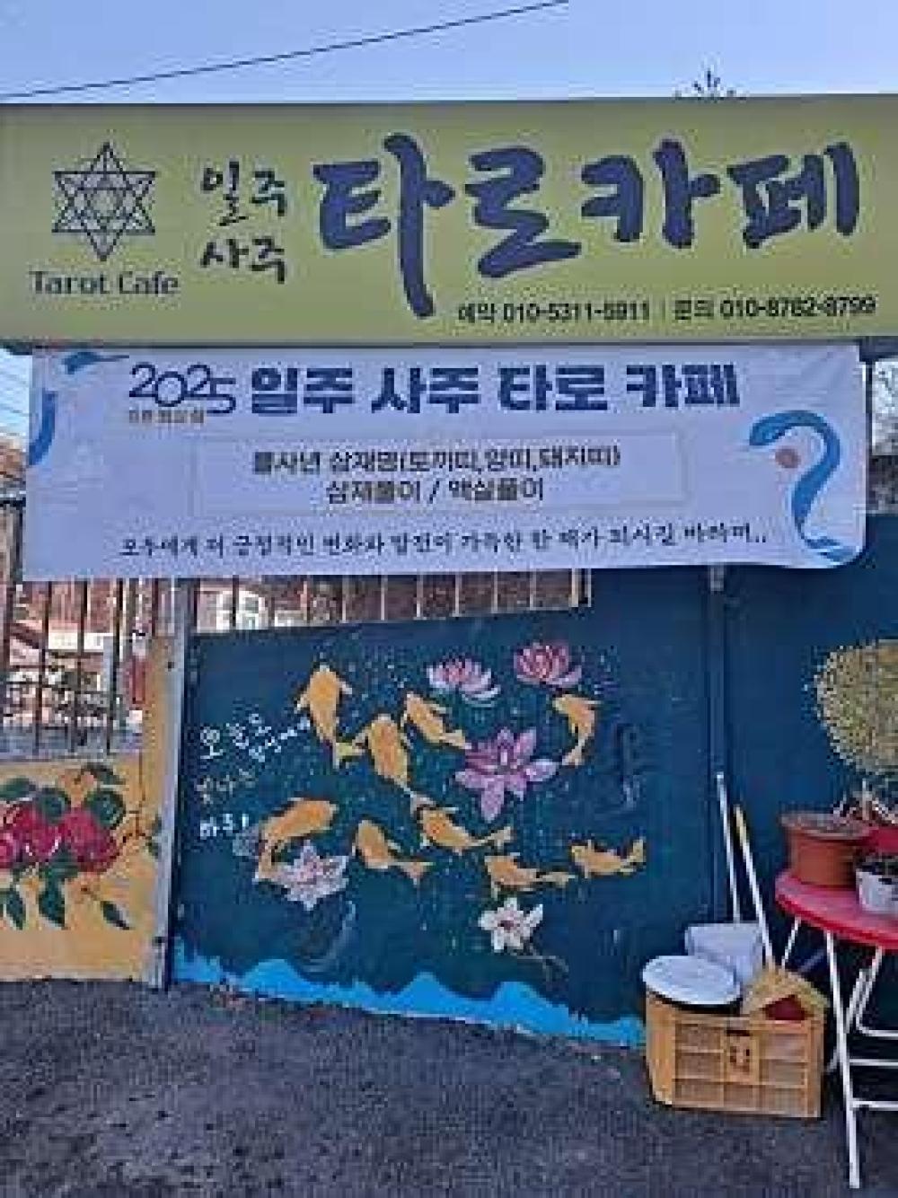 일주사주 카페타로여행