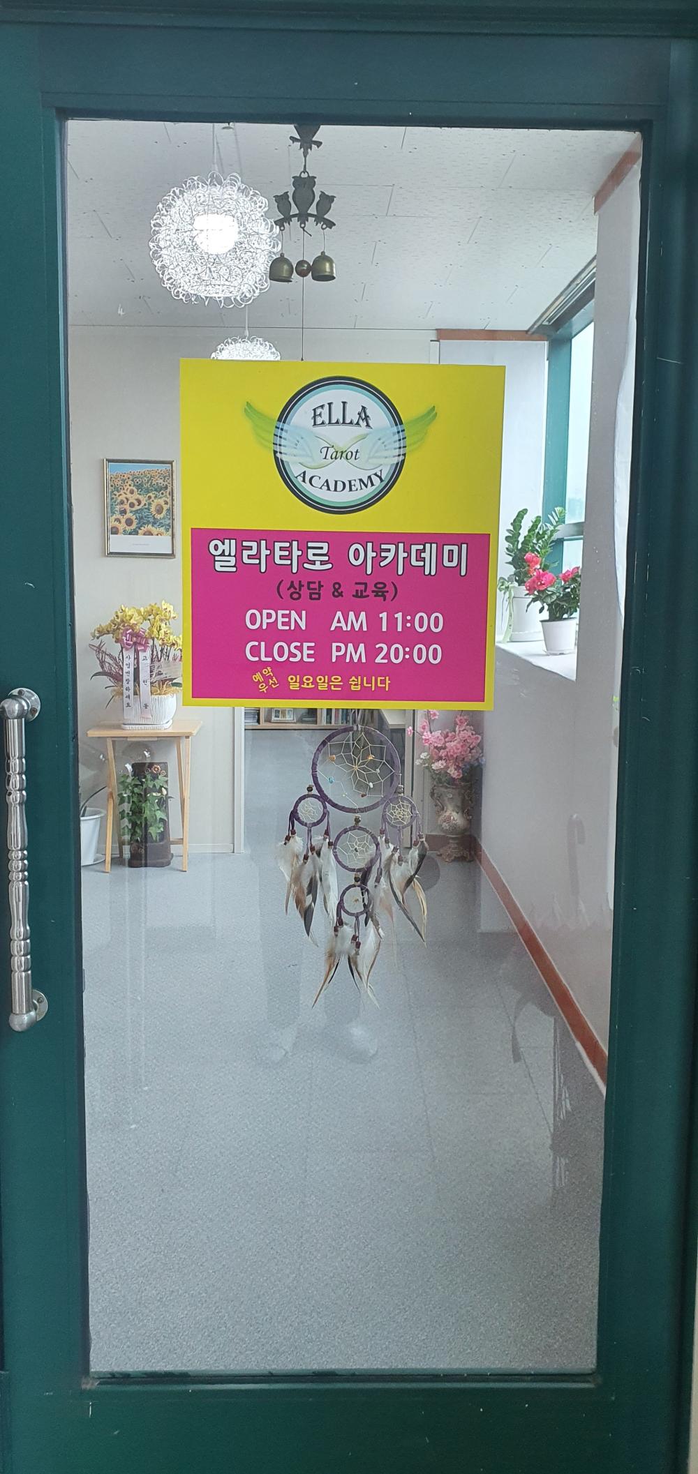 엘라 타로