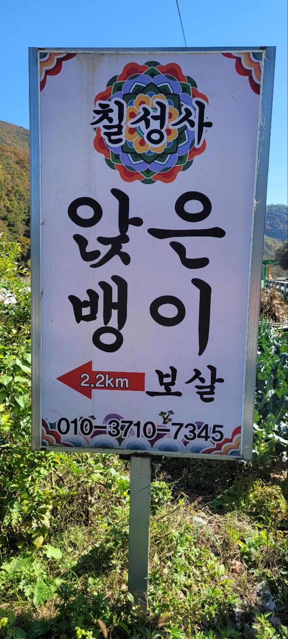 태백산앉은뱅이보살