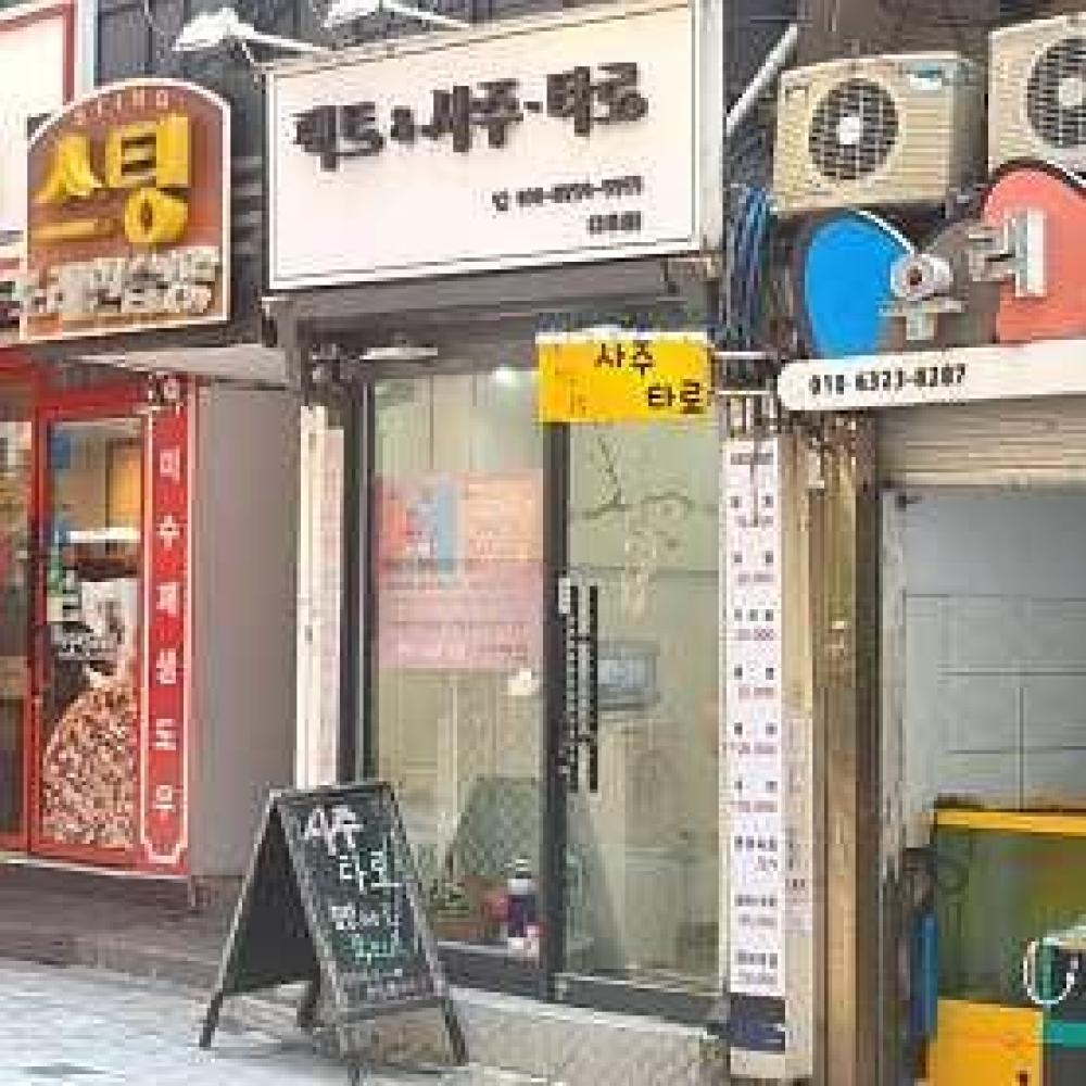 팩트 사주&타로
