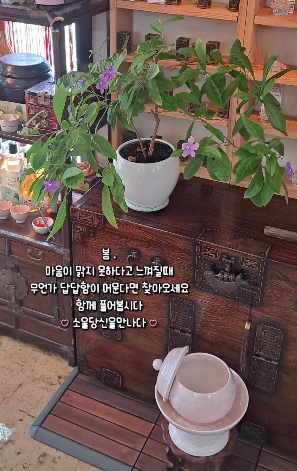 소울당신을만나다
