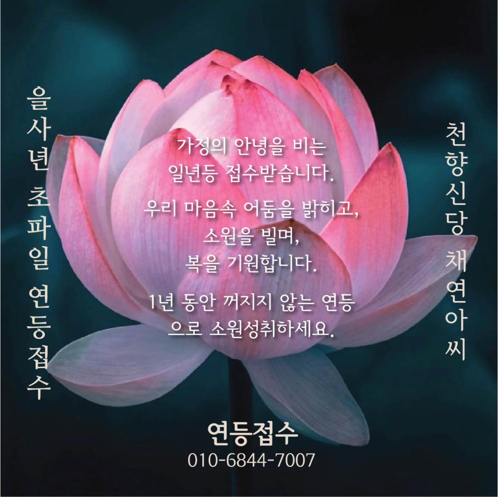 채연아씨
