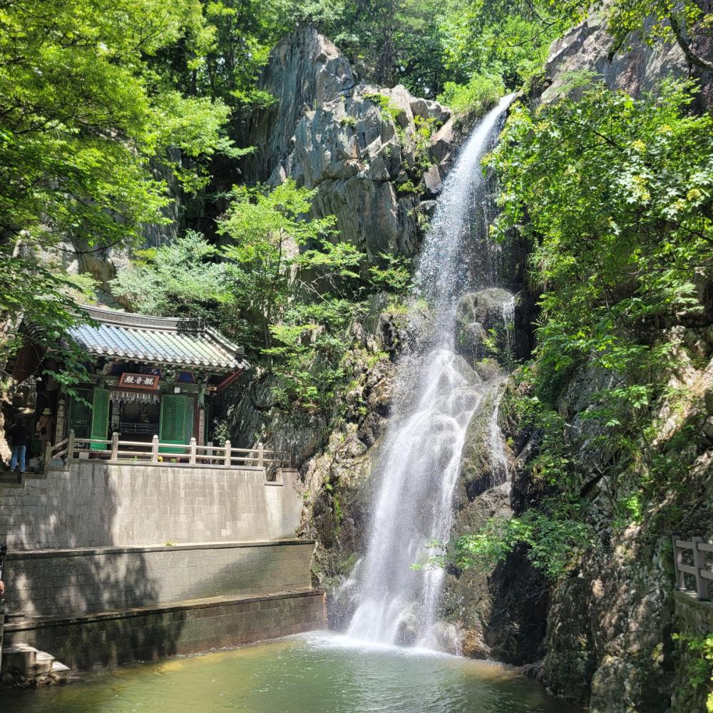 천신궁 꽃도령