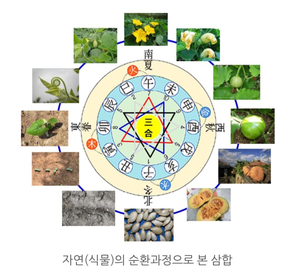다검사주