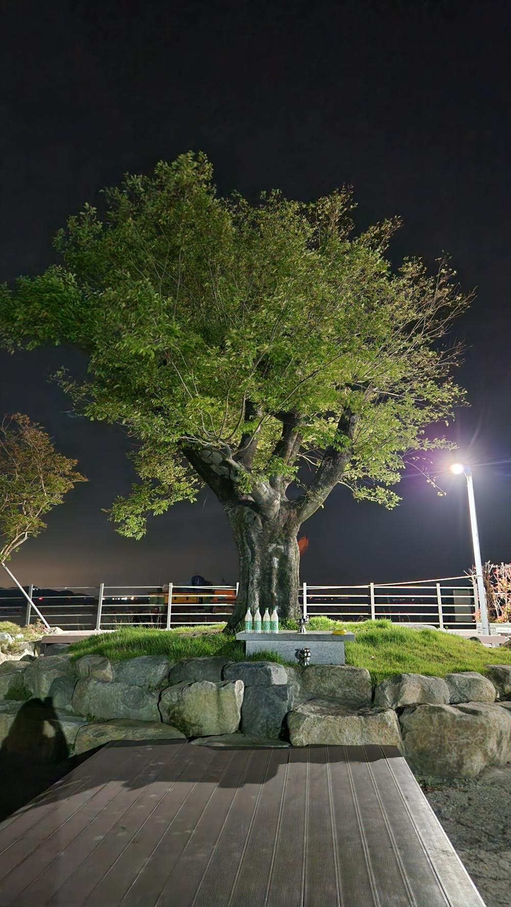 만신당